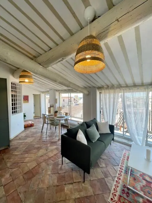 Magnifique Appart Terrasse Et Vue Sur Les Toits Apartment Aix-en-Provence